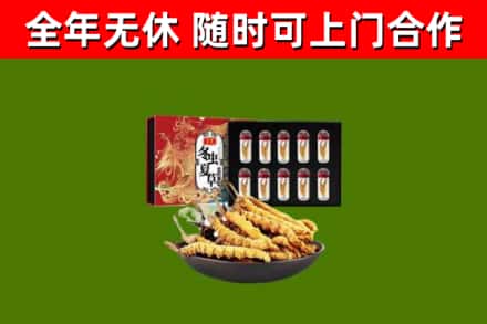 呼兰区回收冬虫夏草价格